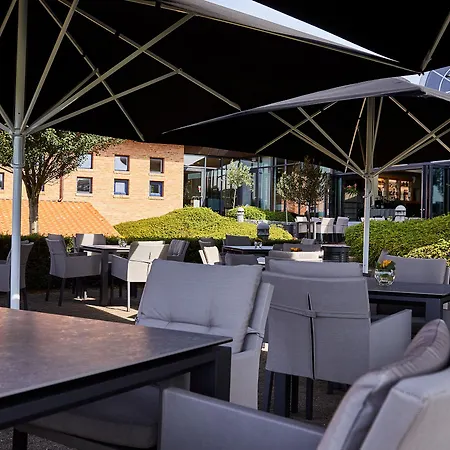 Trinity Og Konference